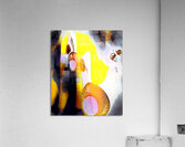 990 8K Acrylic Print