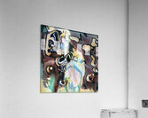 986 8K Acrylic Print