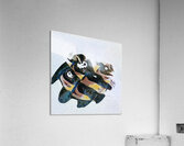 1017 8K Acrylic Print