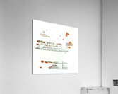 1005 8K Acrylic Print