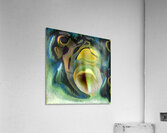 1001 8K Acrylic Print