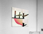 994 8K Acrylic Print