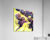 997 8K Acrylic Print