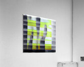 1013 8K Acrylic Print