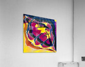 1010 8K Acrylic Print