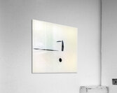 1018 8K Acrylic Print