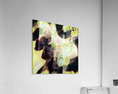 1039 8K Acrylic Print