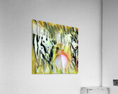 1052 8K Acrylic Print