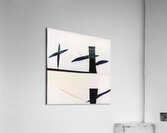 1046 8K Acrylic Print