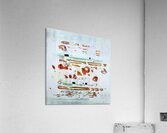 1043 8K Acrylic Print