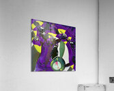 1105 8K Acrylic Print