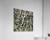 1088 8K Acrylic Print