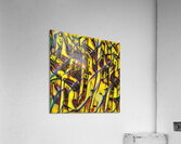 1073 8K Acrylic Print