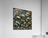 1079 8K Acrylic Print