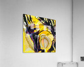 1100 8K Acrylic Print