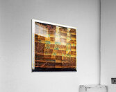 1110 8K Acrylic Print