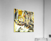 1092 8K Acrylic Print