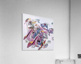 1109 8K Acrylic Print