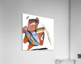 1083 8K Acrylic Print