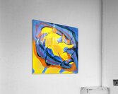 1071 8K Acrylic Print