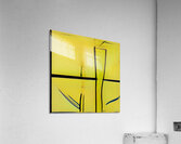 1077 8K Acrylic Print