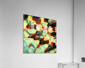 1116 8K Acrylic Print