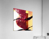 1137 8K Acrylic Print