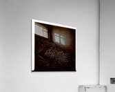 1118 8K Acrylic Print