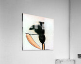 1139 8K Acrylic Print