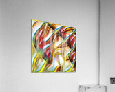 1138 8K Acrylic Print