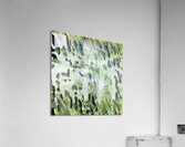 1113 8K Acrylic Print