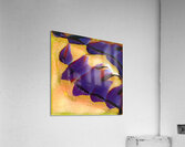 1136 8K Acrylic Print