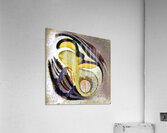 1140 8K Acrylic Print