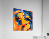 1148 8K Acrylic Print