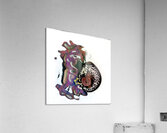1151 8K Acrylic Print