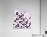 1178 8K Acrylic Print