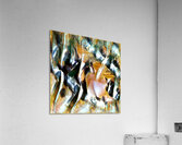 1188 8K Acrylic Print