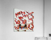 1156 8K Acrylic Print