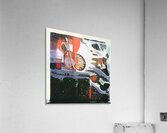 1167 8K Acrylic Print