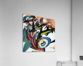 1157 8K Acrylic Print