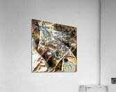 1183 8K Acrylic Print