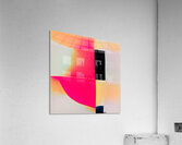 1187 8K Acrylic Print