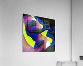 1195 8K Acrylic Print