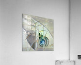 1228 8K Acrylic Print