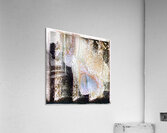 1213 8K Acrylic Print