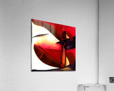 1217 8K Acrylic Print