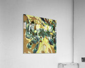 1198 8K Acrylic Print