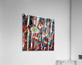 1194 8K Acrylic Print