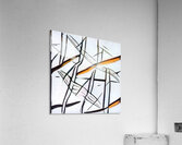 1263 8K Acrylic Print