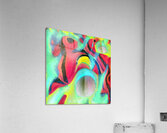 1247 8K Acrylic Print